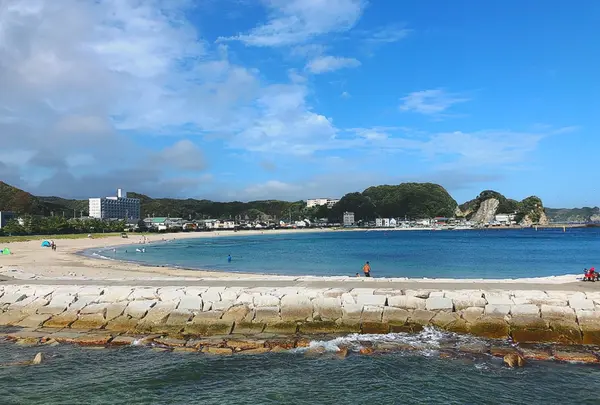 興津海水浴場の写真・動画_image_424332