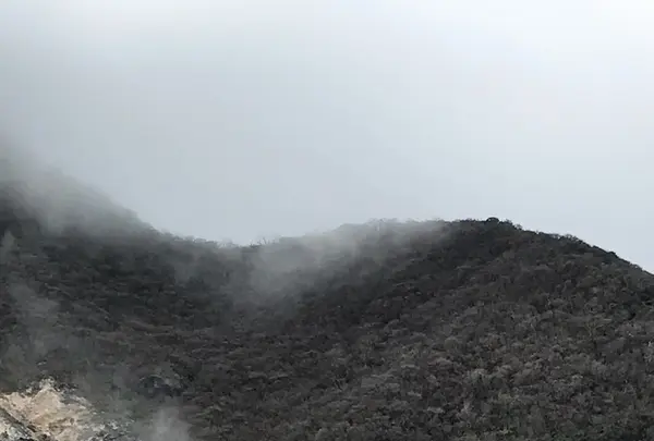 大涌谷の写真・動画_image_425242