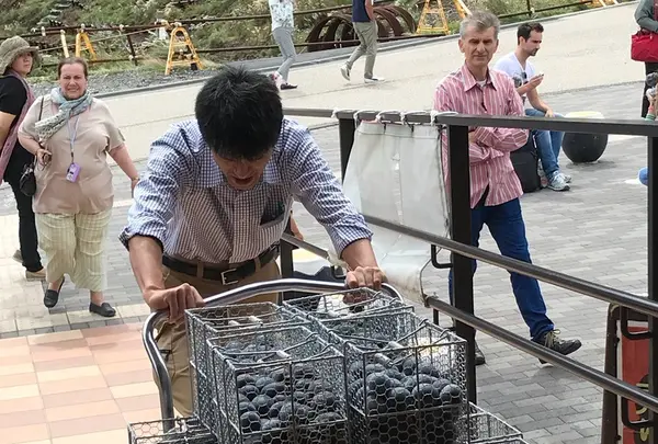 大涌谷くろたまご館の写真・動画_image_425243