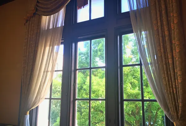 京都府庁 旧本館の写真・動画_image_425744