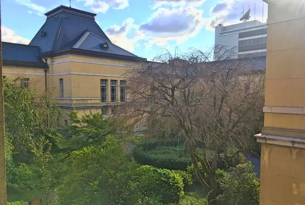 京都府庁 旧本館の写真・動画_image_425747