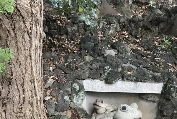 品川神社の写真・動画_image_428889