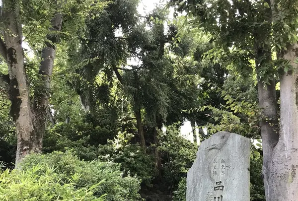 品川神社の写真・動画_image_428890