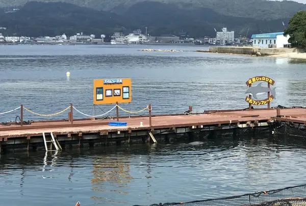 淡路じゃのひれフィッシングパークの写真・動画_image_429684
