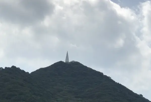 淡路じゃのひれフィッシングパークの写真・動画_image_429685