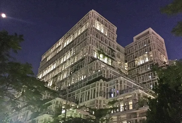 那覇市役所の写真・動画_image_429876