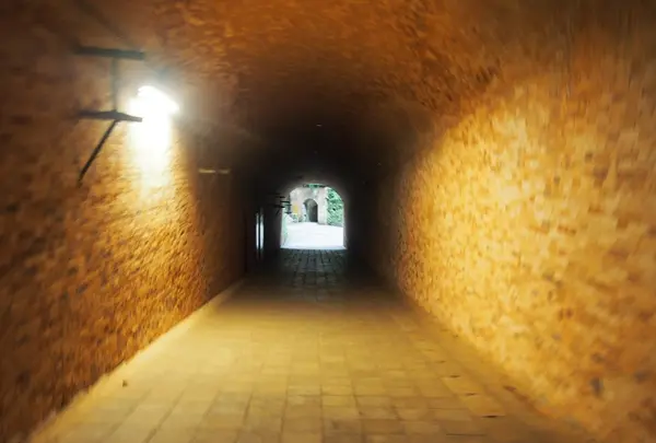 猿島の写真・動画_image_430218