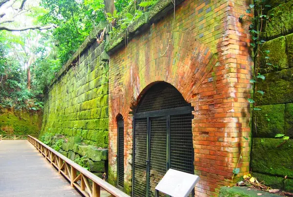 猿島の写真・動画_image_430219