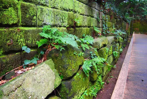 猿島の写真・動画_image_430220