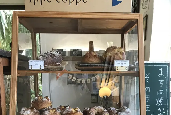 ippe coppeの写真・動画_image_430690