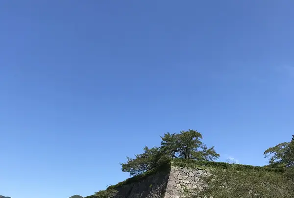篠山城跡の写真・動画_image_430761