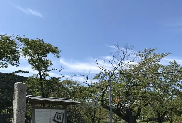 篠山城跡の写真・動画_image_430763