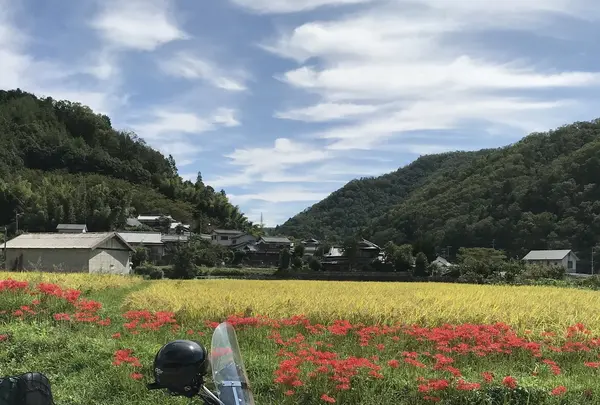 篠山城跡の写真・動画_image_430766