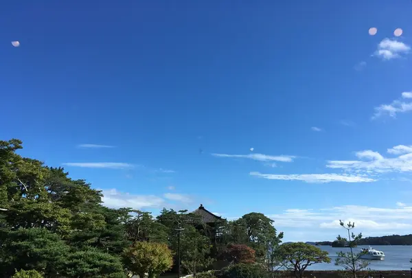 松華堂菓子店の写真・動画_image_431822