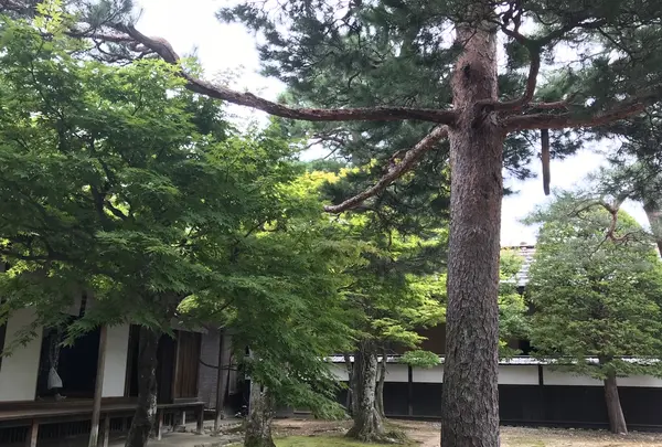 高山陣屋の写真・動画_image_432057