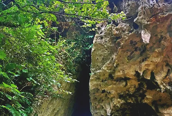 斎場御嶽の写真・動画_image_434028