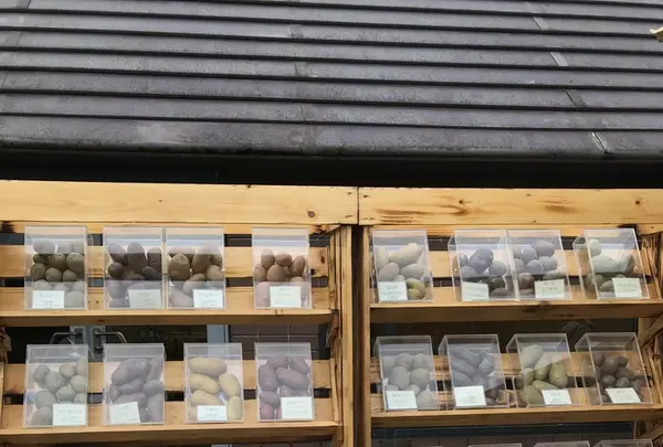 星野リゾート リゾナーレトマムの写真・動画_image_434336