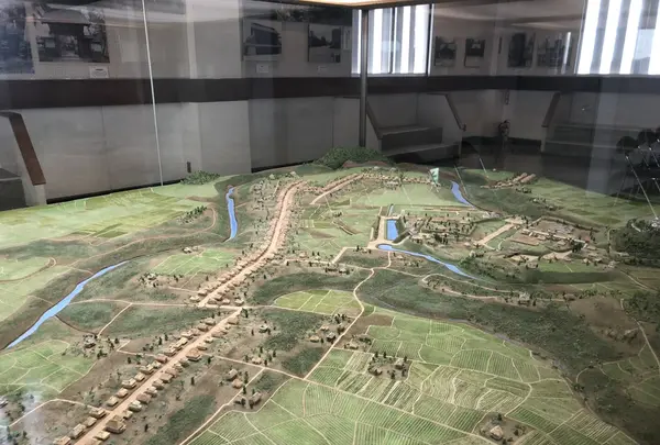 千葉県中央博物館　大多喜城分館の写真・動画_image_435269