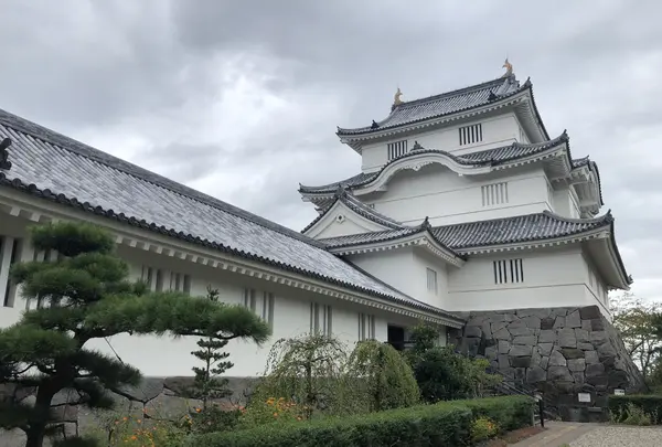 千葉県中央博物館　大多喜城分館の写真・動画_image_435272