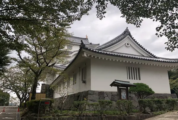 千葉県中央博物館　大多喜城分館の写真・動画_image_435273
