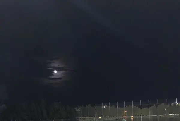 ダイナミックゴルフ茂原の写真・動画_image_435284