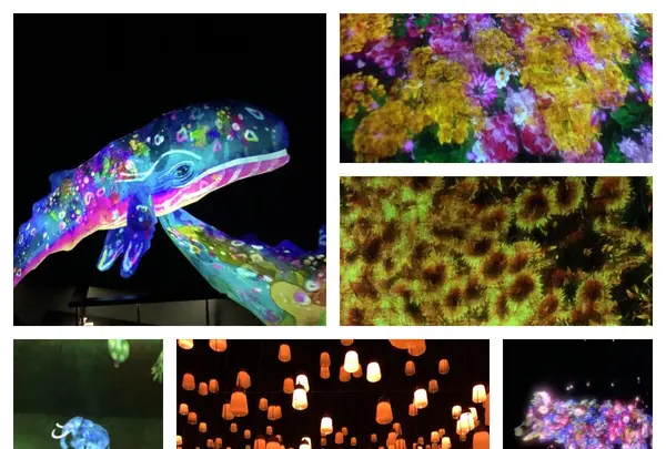 【閉業】森ビルデジタルアートミュージアム：エプソン チームラボボーダレス（MORI Building Digital Art Museum: EPSON teamLab Borderless）の写真・動画_image_436193