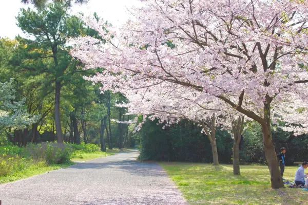 海の中道海浜公園の写真・動画_image_437465