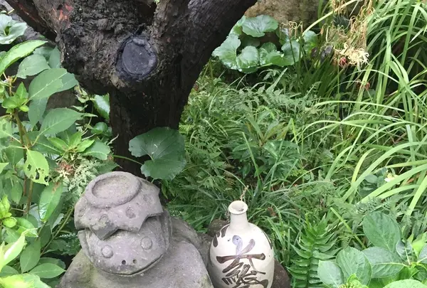 常泉寺の写真・動画_image_438878