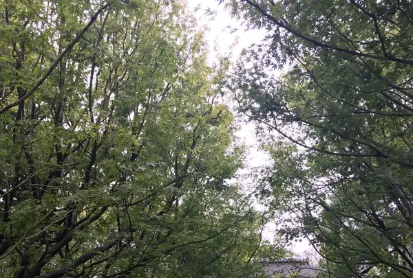 常泉寺の写真・動画_image_438879