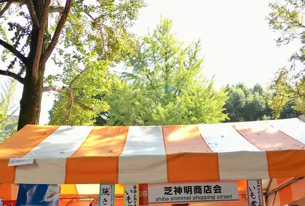 芝公園の写真・動画_image_439055