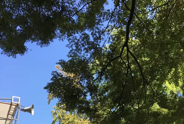 芝公園の写真・動画_image_439058