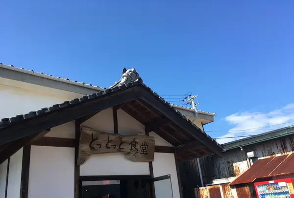 とっとっとの写真・動画_image_439985