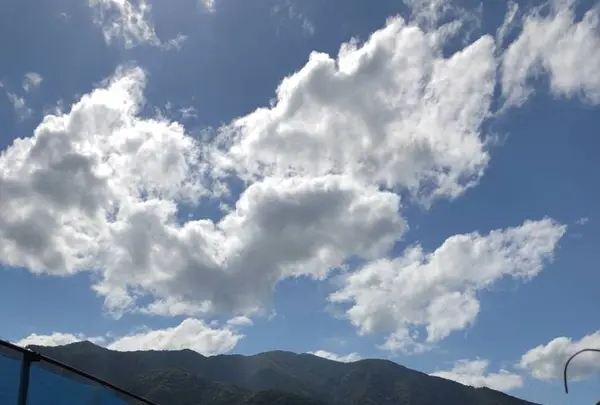 葡萄屋iwaki （ぶどう農園）の写真・動画_image_440879