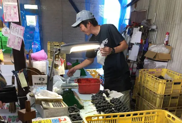 葡萄屋iwaki （ぶどう農園）の写真・動画_image_440881