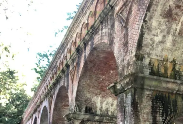 南禅寺の写真・動画_image_441251