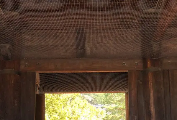 南禅寺の写真・動画_image_441252