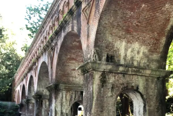 南禅寺の写真・動画_image_441253