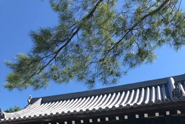 南禅寺の写真・動画_image_441254