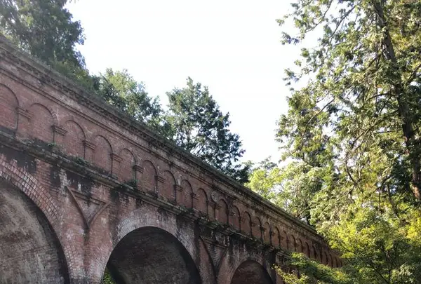 南禅寺の写真・動画_image_441255