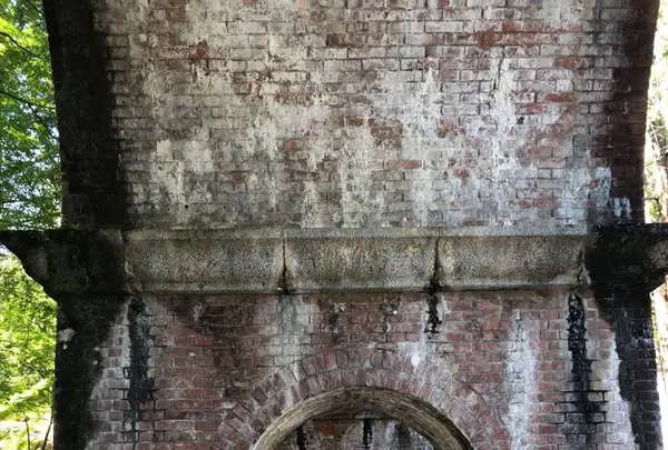 南禅寺の写真・動画_image_441256