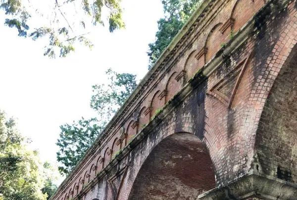 南禅寺の写真・動画_image_441258