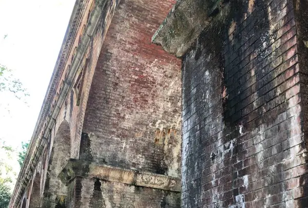 南禅寺の写真・動画_image_441259