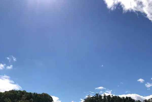 羊ヶ丘展望台の写真・動画_image_441315