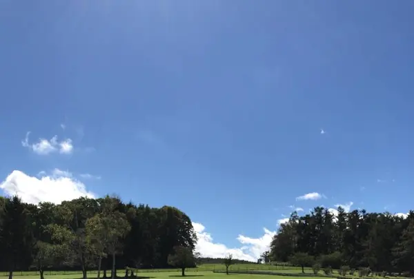 羊ヶ丘展望台の写真・動画_image_441317