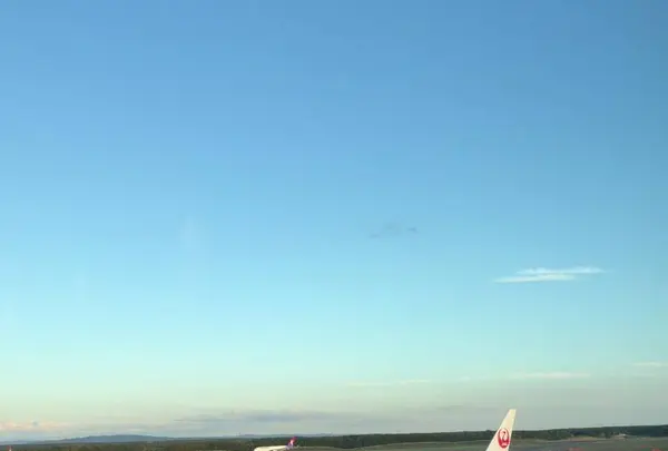 新千歳空港の写真・動画_image_441331