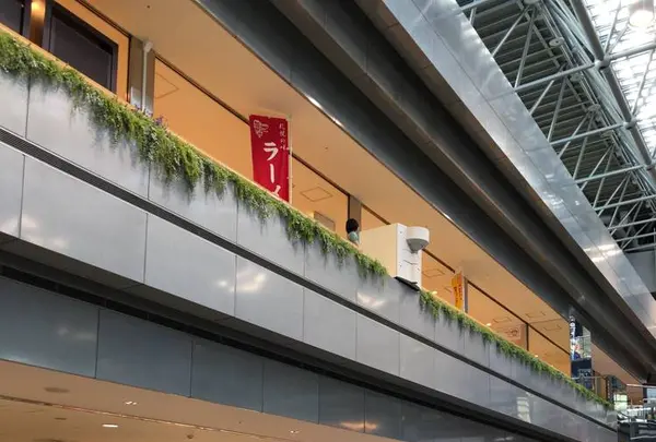 新千歳空港の写真・動画_image_441337