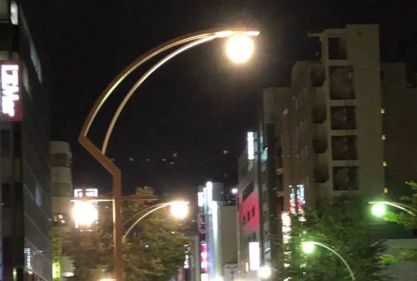 札幌市の写真・動画_image_441341