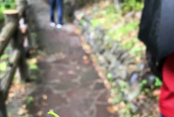 定山渓の写真・動画_image_441377