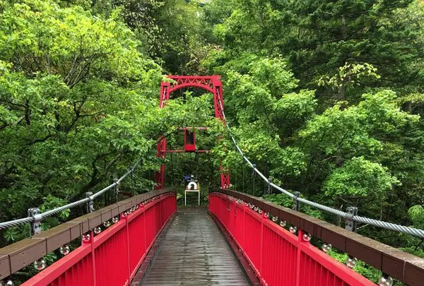 定山渓の写真・動画_image_441378