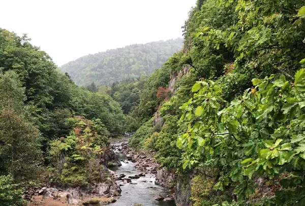 定山渓の写真・動画_image_441380